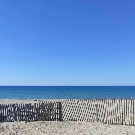 Charmant Studio Climatise 24 M2 Terrasse A 100M De La Plage Saint-Mandrier-sur-Mer Exterior foto
