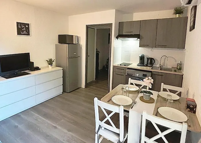 Charmant Studio Climatise 24 M2 Terrasse A 100M De La Plage