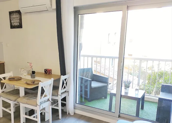 Charmant Studio Climatise 24 M2 Terrasse A 100M De La Plage