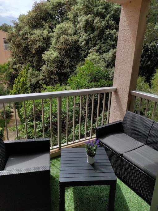 Apartment Climatise 24 M2 Terrasse A 100m De La
